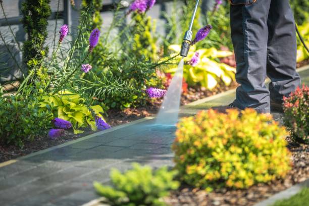 Best Sidewalk and Walkway Cleaning  in Baker, MT